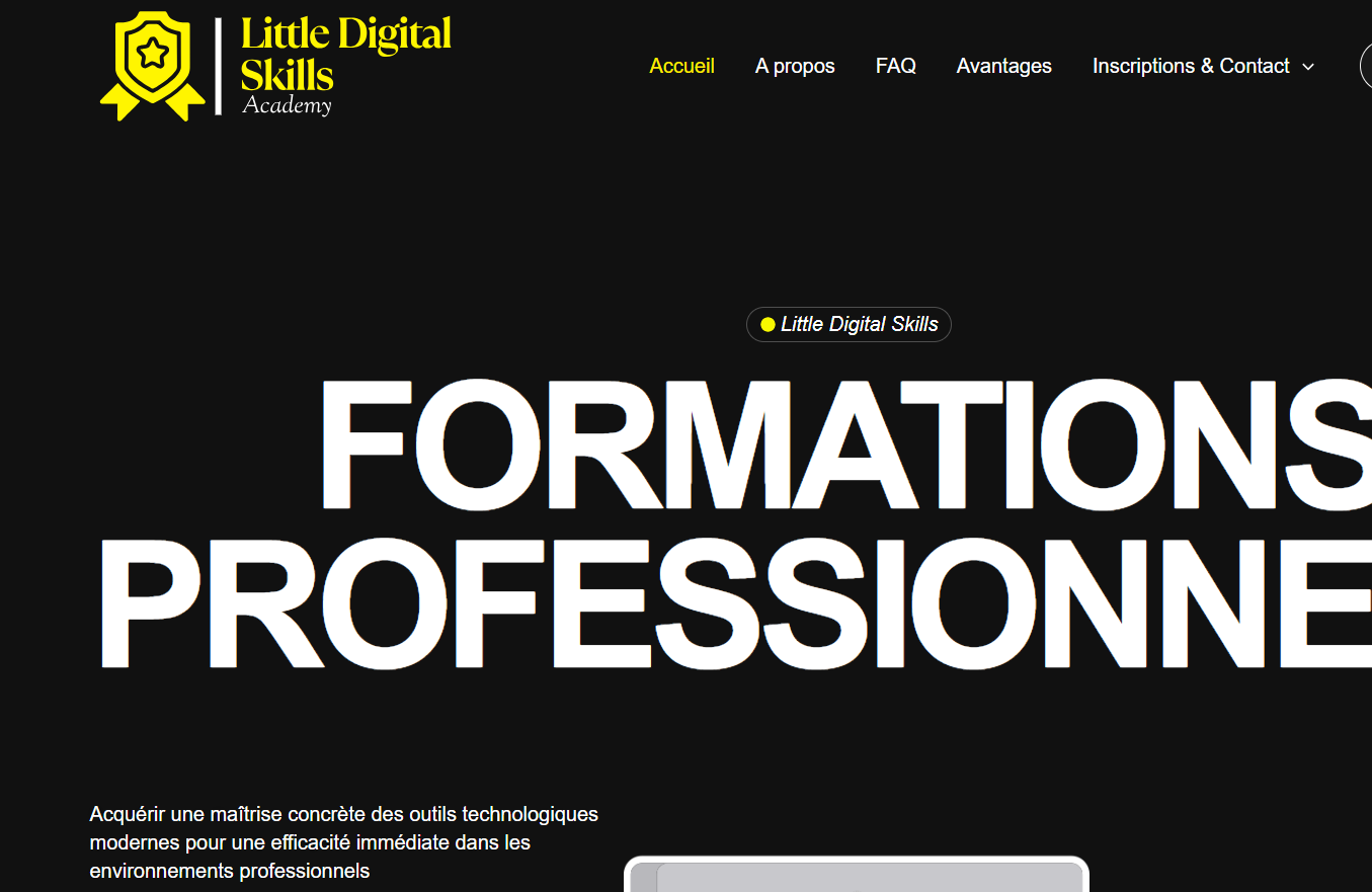 LDS (Little Digital Skills)